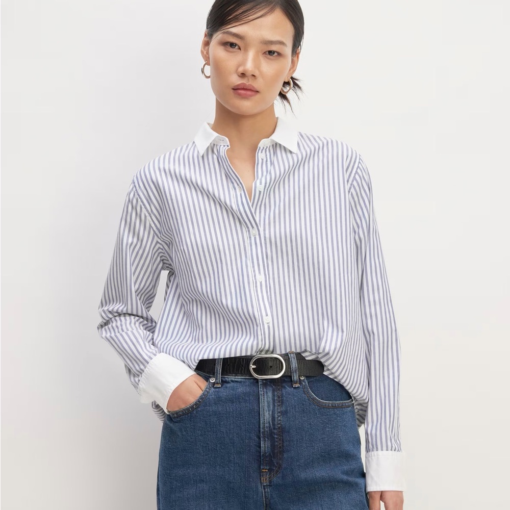 Everlane Blue and White Silky Cotton Striped Shirt